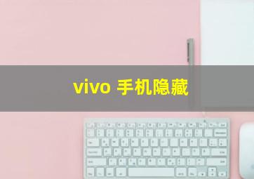 vivo 手机隐藏